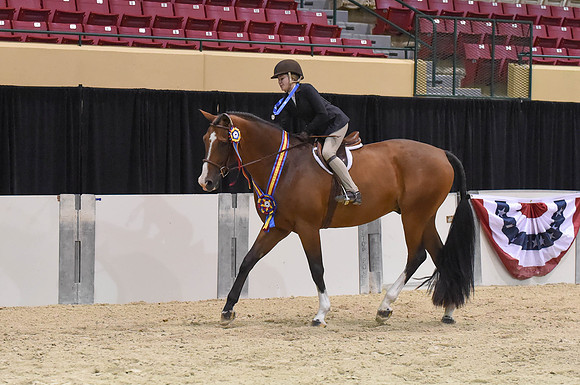 MHSAHtStFinH(9-12-14)0245