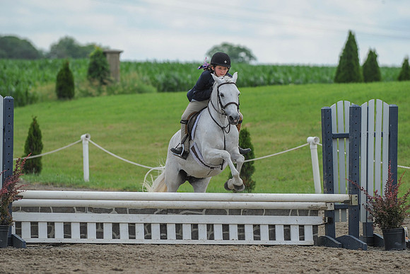 SC(6-28-14)SMPony0094