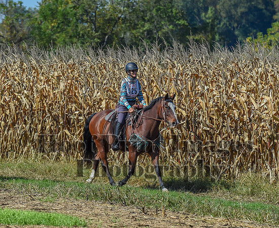 CheshirePonyClubPC(10-6-24)0412