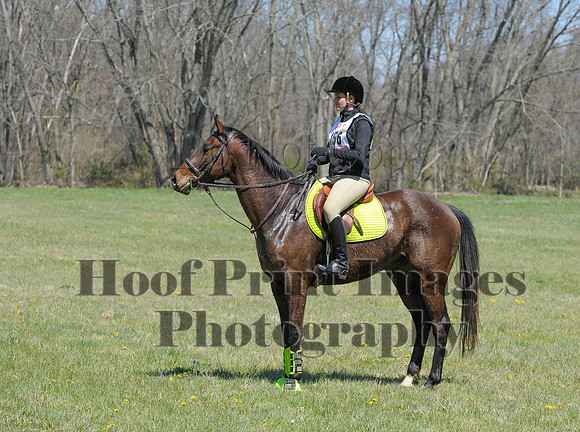 CheshirePC(4-16-16)0609