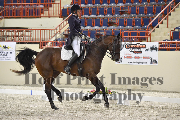 CWdressageI(8-20-16)1449