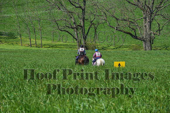 CheshireSpringPC1(4-28-24)0241