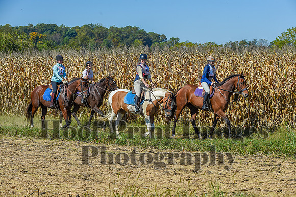 CheshirePonyClubPC(10-6-24)0503