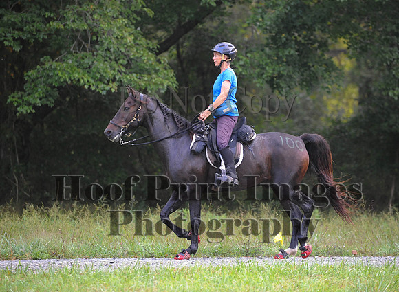 ChesapeakeCTR(9-20-14)0027