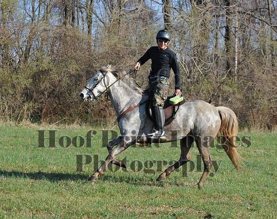 Foxcatcher(4-12-14)0550
