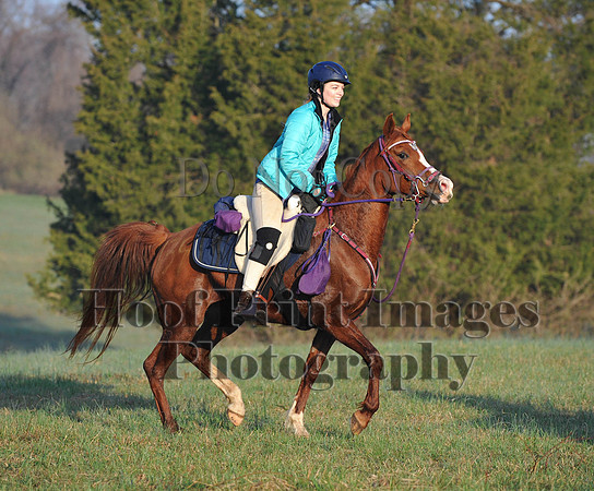 Foxcatcher(4-12-14)0505