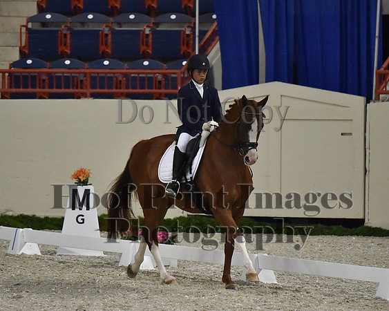CWdressageII(8-21-16)2026