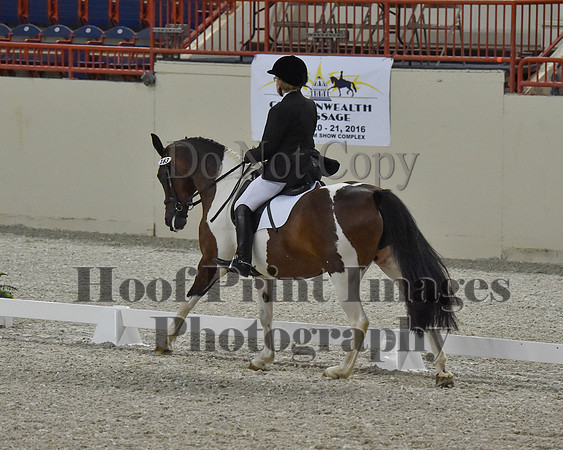 CWdressageII(8-21-16)1087
