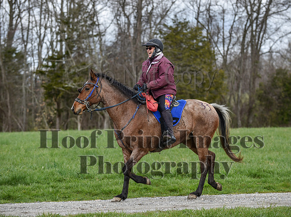 ChesapeakeSpring(4-10-22)0590