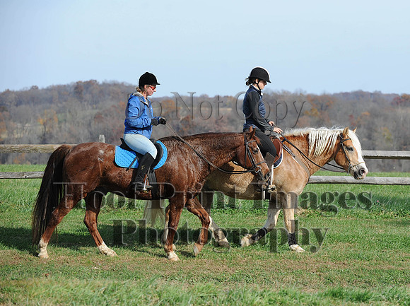 AndrewsBr(11-9-14)0362