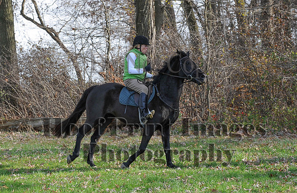 AndrewsBr(11-9-14)0532
