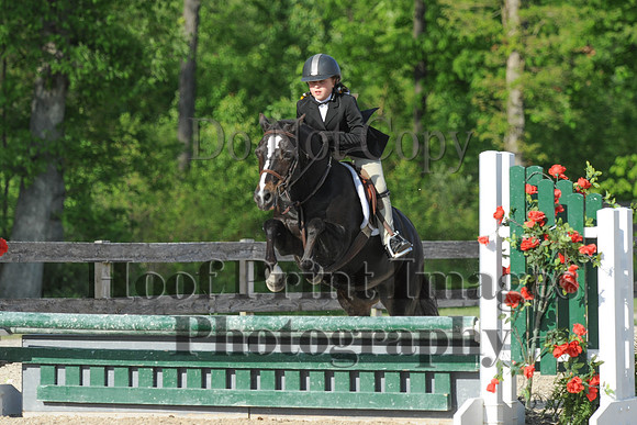 BRSa(5-17-14)SMChP0027