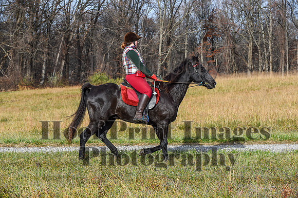 FairHillFallPC(11-12-23)0038