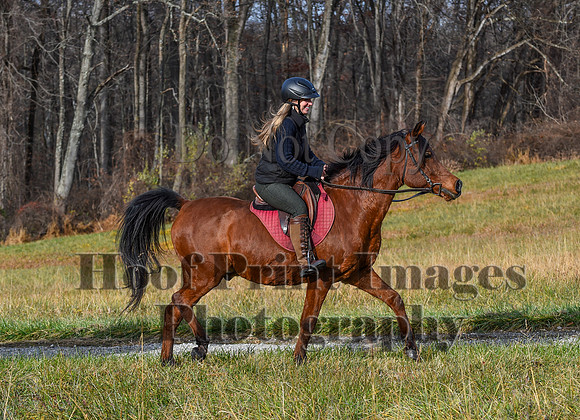 FairHillFallPC(11-12-23)0045