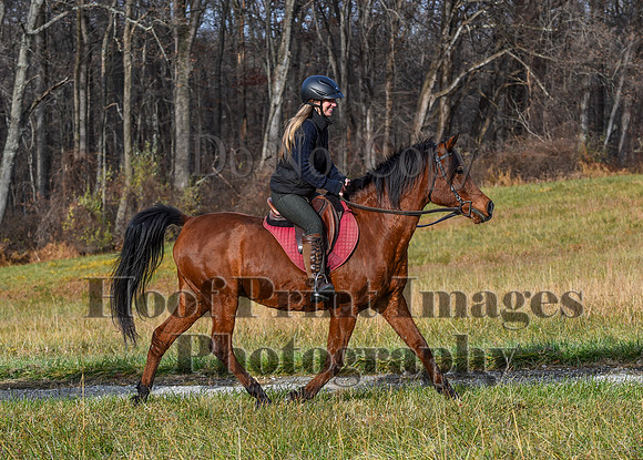 FairHillFallPC(11-12-23)0046