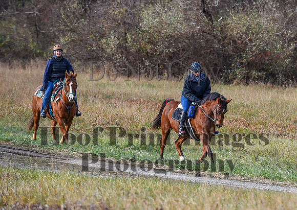 FairHillFallPC(11-12-23)0055