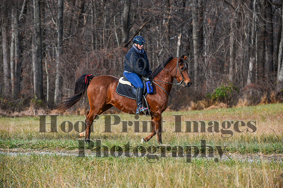 FairHillFallPC(11-12-23)0063