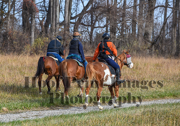 FairHillFallPC(11-12-23)0080