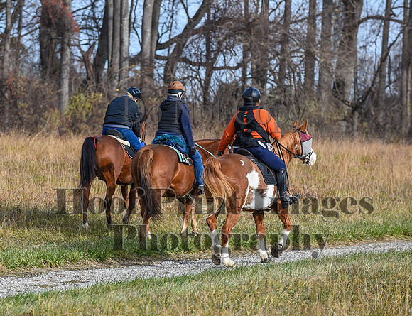 FairHillFallPC(11-12-23)0081
