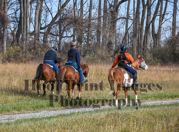 FairHillFallPC(11-12-23)0082