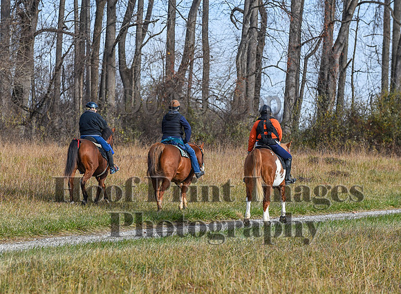 FairHillFallPC(11-12-23)0084