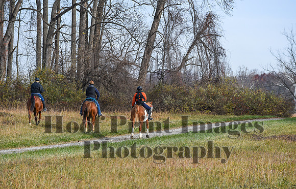 FairHillFallPC(11-12-23)0085
