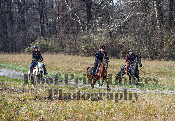 FairHillFallPC(11-12-23)0113