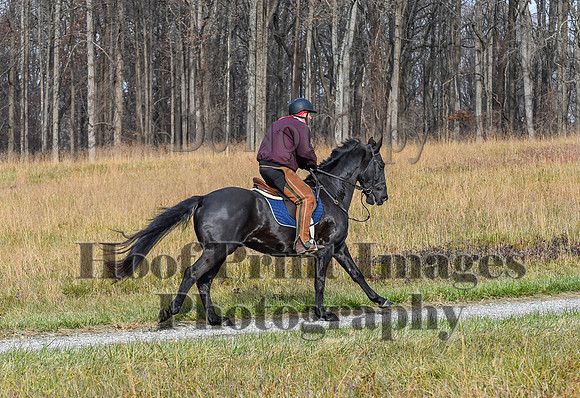 FairHillFallPC(11-12-23)0129