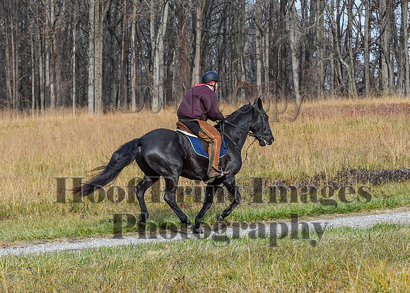 FairHillFallPC(11-12-23)0131