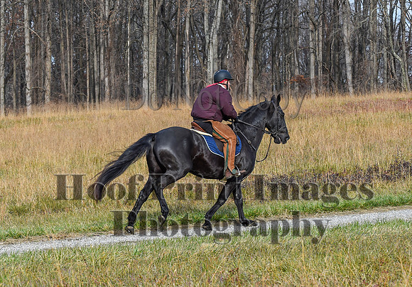 FairHillFallPC(11-12-23)0130