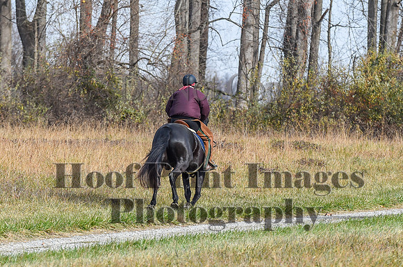 FairHillFallPC(11-12-23)0139