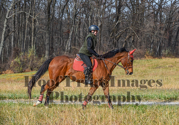 FairHillFallPC(11-12-23)0181