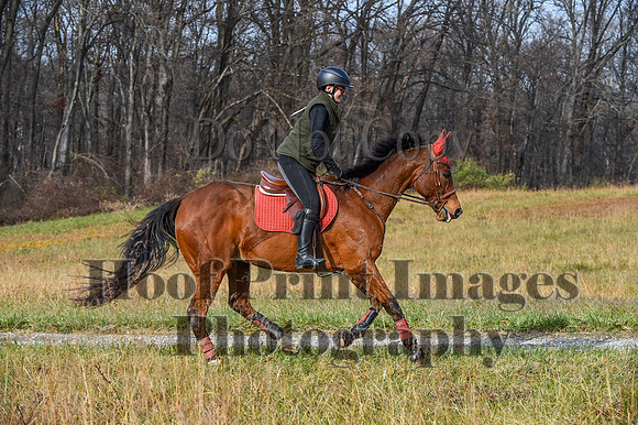 FairHillFallPC(11-12-23)0184