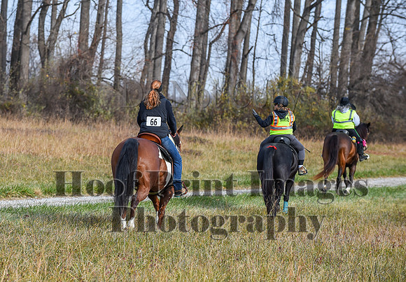 FairHillFallPC(11-12-23)0221