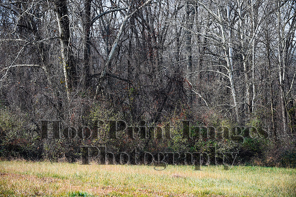 FairHillFallPC(11-12-23)0223