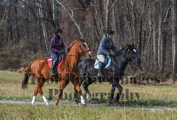 FairHillFallPC(11-12-23)0239