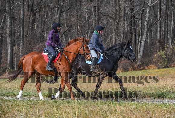 FairHillFallPC(11-12-23)0240