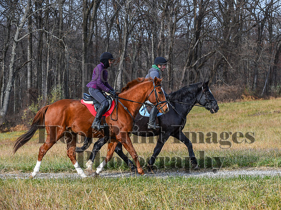 FairHillFallPC(11-12-23)0242