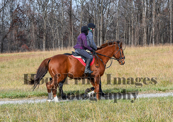 FairHillFallPC(11-12-23)0244