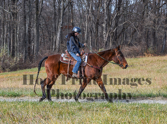 FairHillFallPC(11-12-23)0260