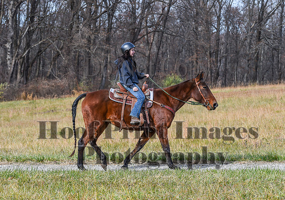 FairHillFallPC(11-12-23)0262