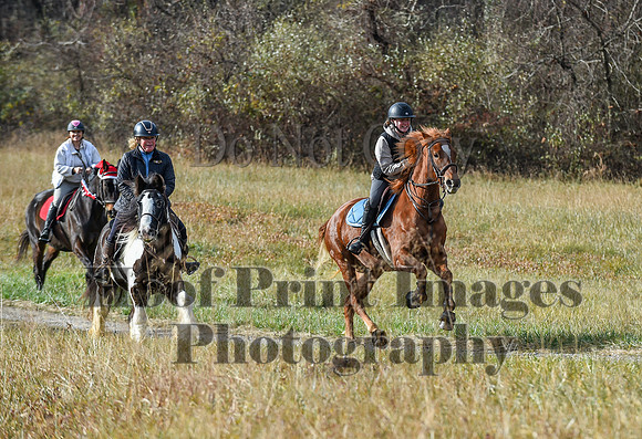 FairHillFallPC(11-12-23)0278