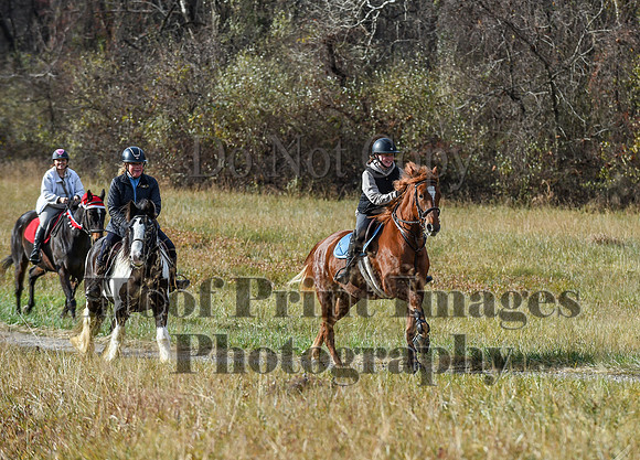 FairHillFallPC(11-12-23)0279