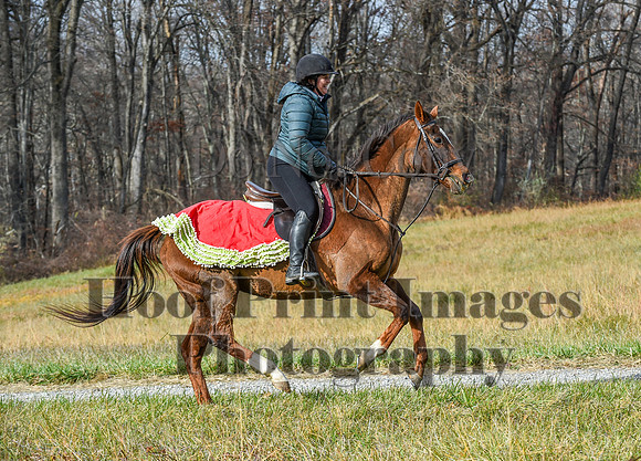 FairHillFallPC(11-12-23)0308