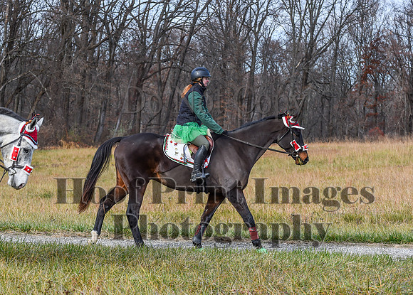 FairHillFallPC(11-12-23)0339