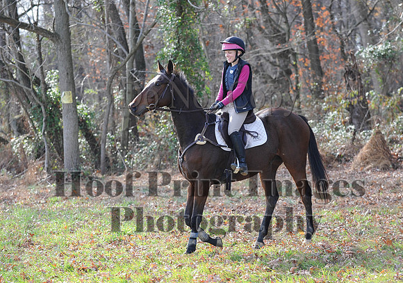 AndrewsBr(11-9-14)0599