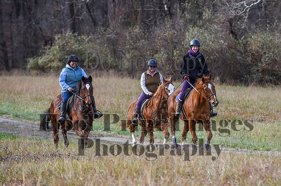 FairHillFallPC(11-12-23)0368