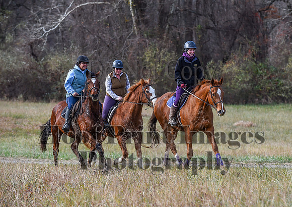 FairHillFallPC(11-12-23)0370