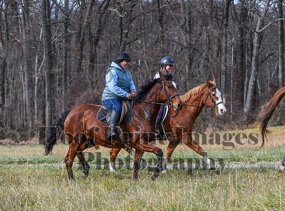 FairHillFallPC(11-12-23)0377