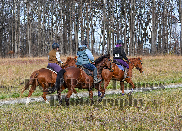FairHillFallPC(11-12-23)0386